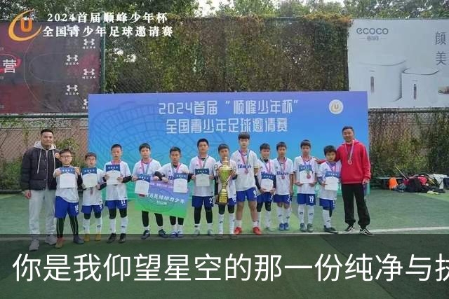 你是我仰望星空的那一份纯净与执着